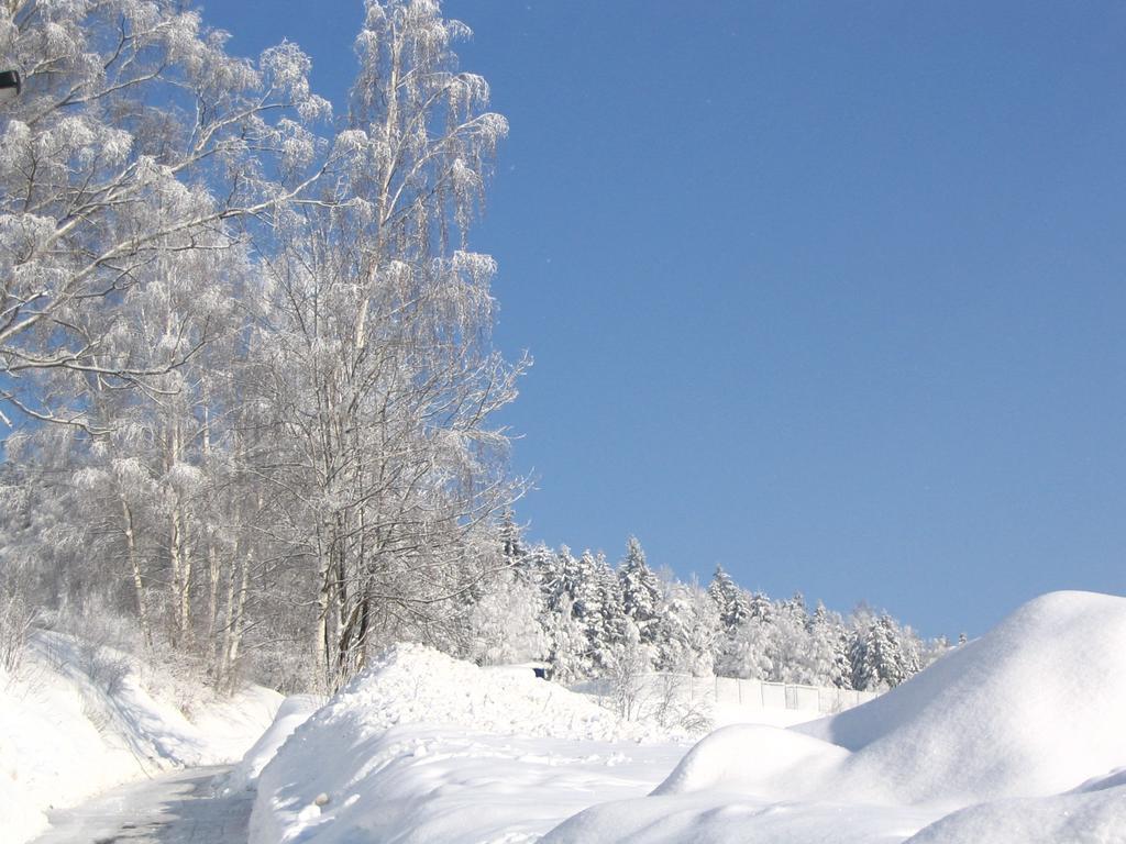 Landhotel Gasthof Zwota クリンゲンタール エクステリア 写真